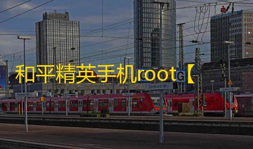 和平精英手机root【尼古拉斯】科技